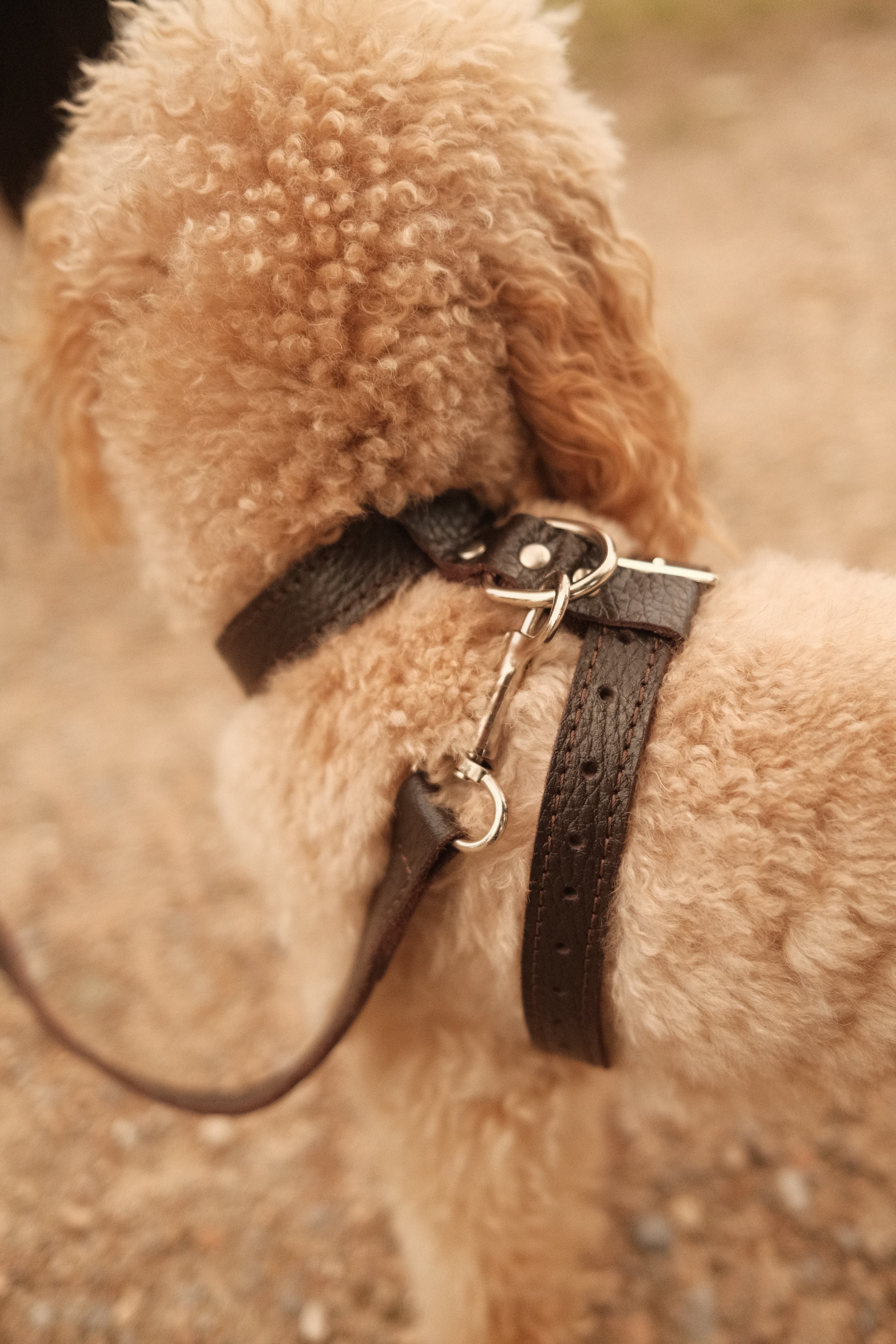 Премиум нагръдници от естествена кожа